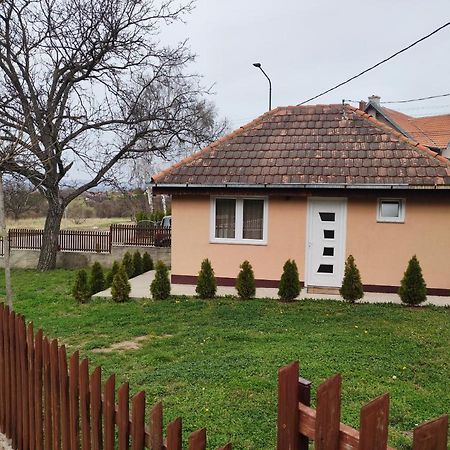 Apartmani Trajkovic Sokobanja Buitenkant foto