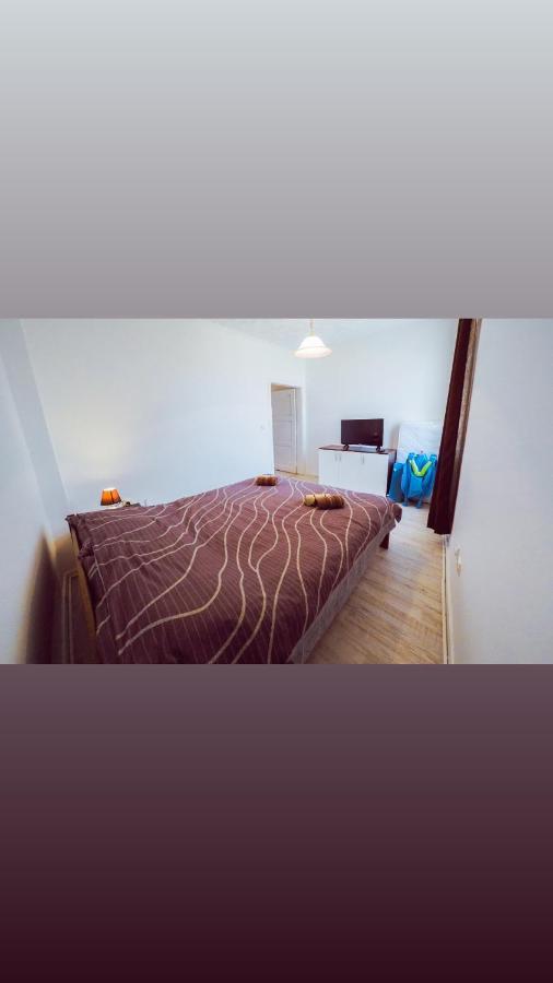 Apartmani Trajkovic Sokobanja Buitenkant foto