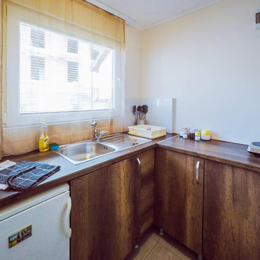 Apartmani Trajkovic Sokobanja Buitenkant foto